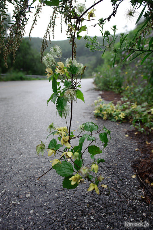 HSJ_0454.jpg
