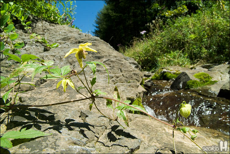 DSCF0609.jpg