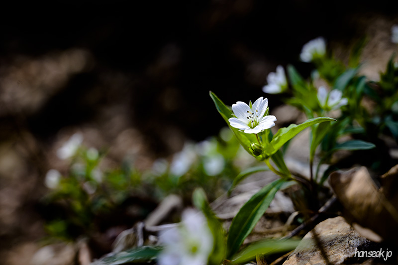 DSC_1942.jpg