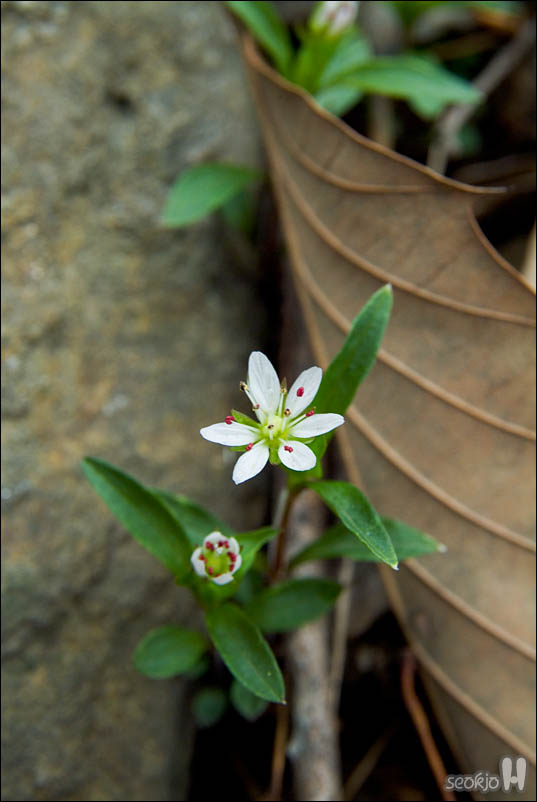 DSCF2872.jpg