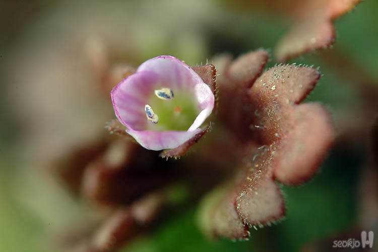 DSCF6048.jpg