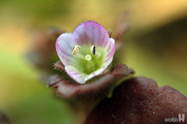 DSCF6050.jpg