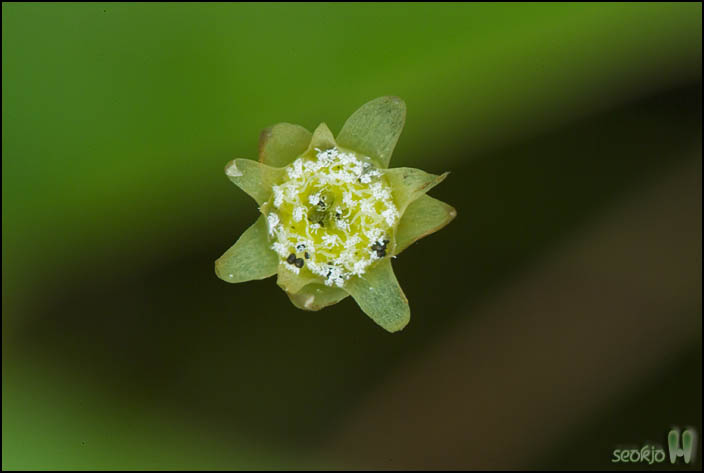 DSCF2239.jpg