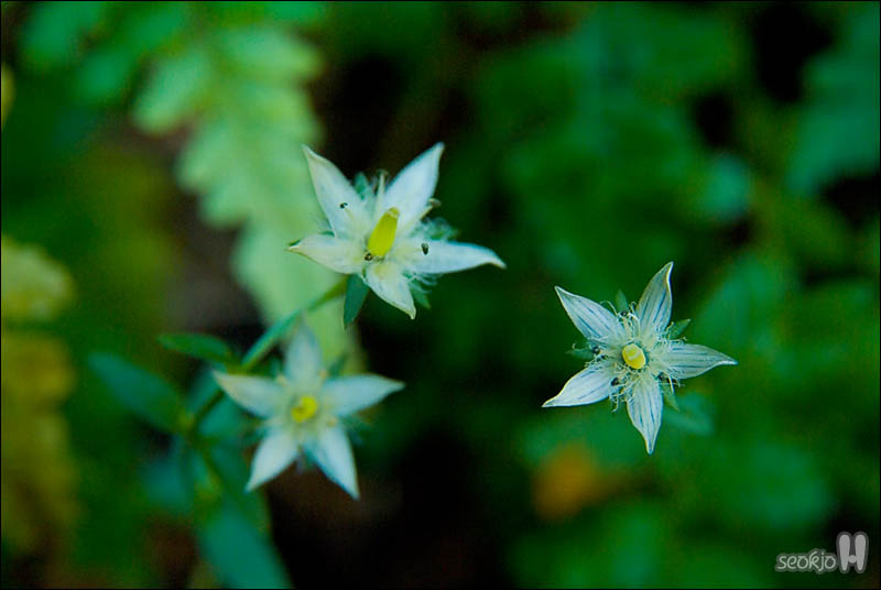DSCF6290.jpg
