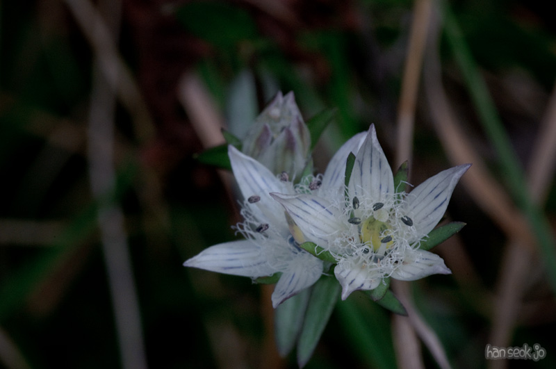 DSC_4000.jpg