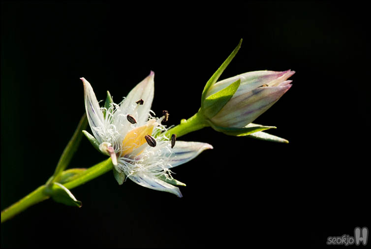 DSCF4215.jpg