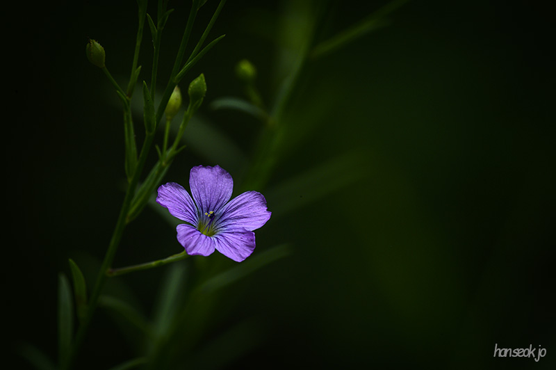 DSC_4348.jpg