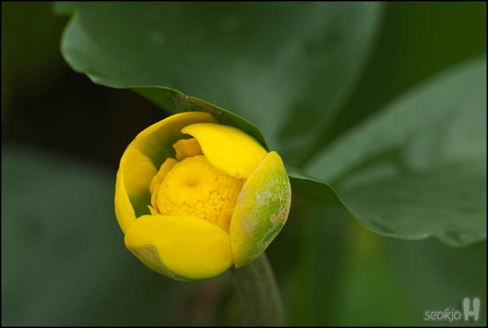 DSCF2096.jpg