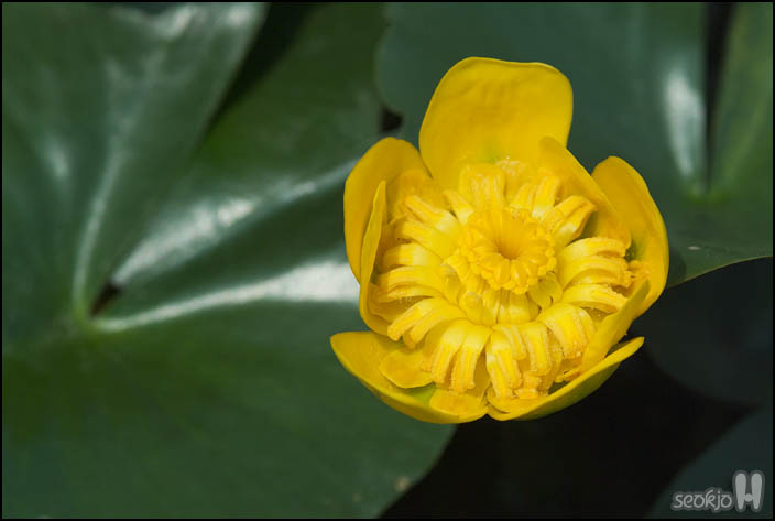 DSCF8464.jpg