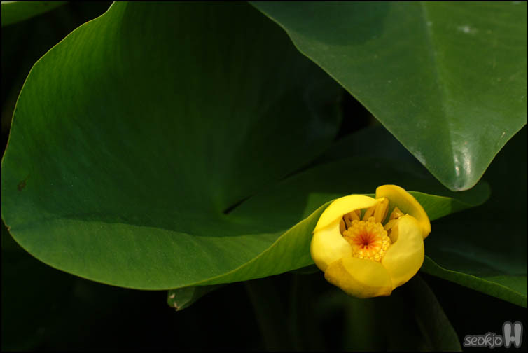 DSCF1913.jpg