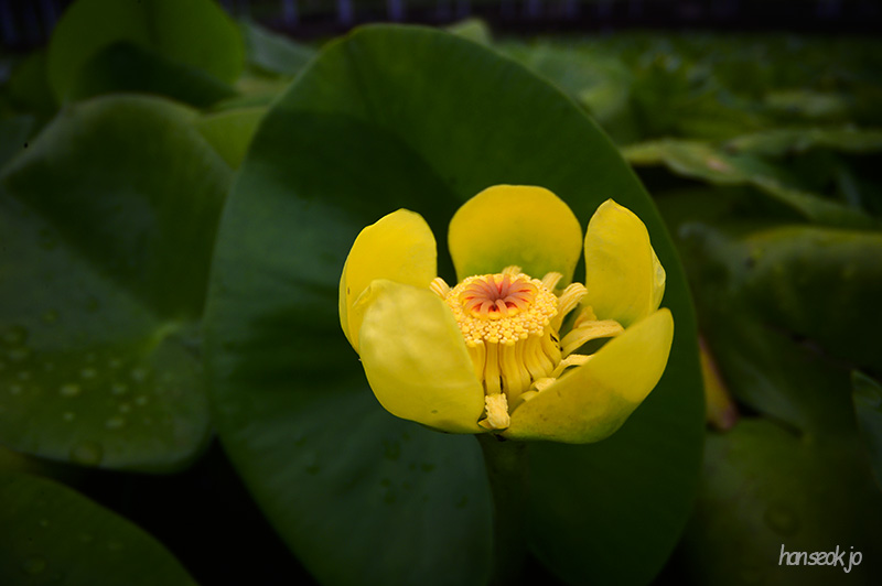 DSC_3573.jpg