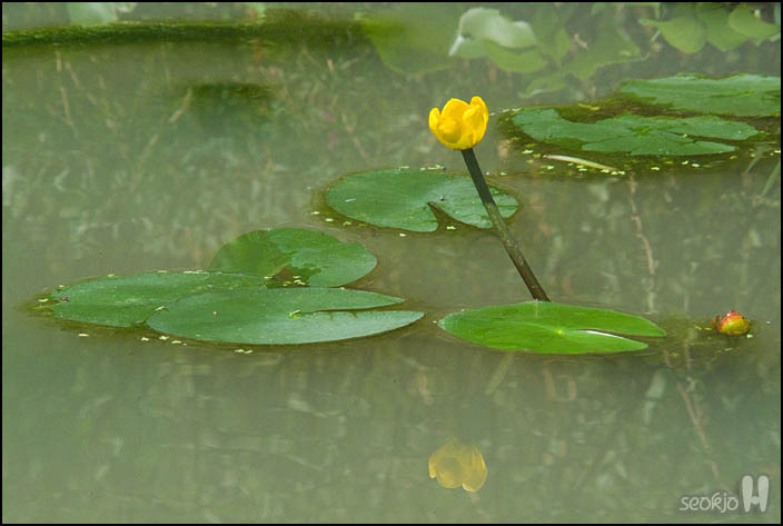 DSCF1928.jpg