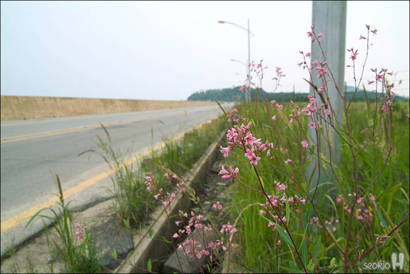 DSCF4298.jpg