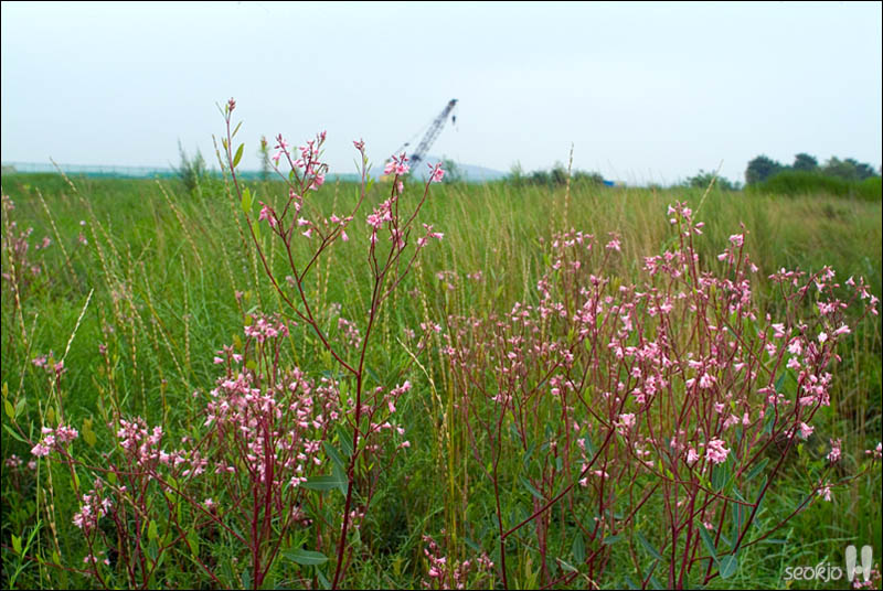DSCF4653.jpg