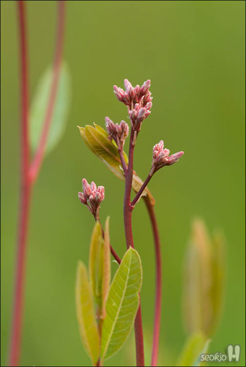 DSCF9288.jpg