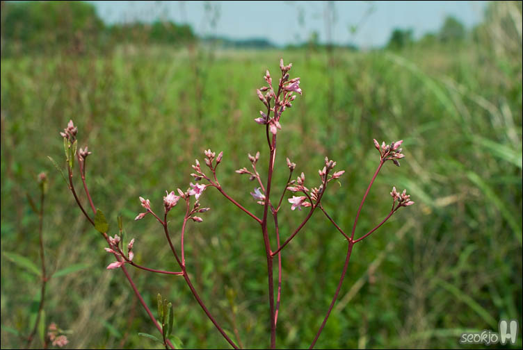 DSCF9349.jpg