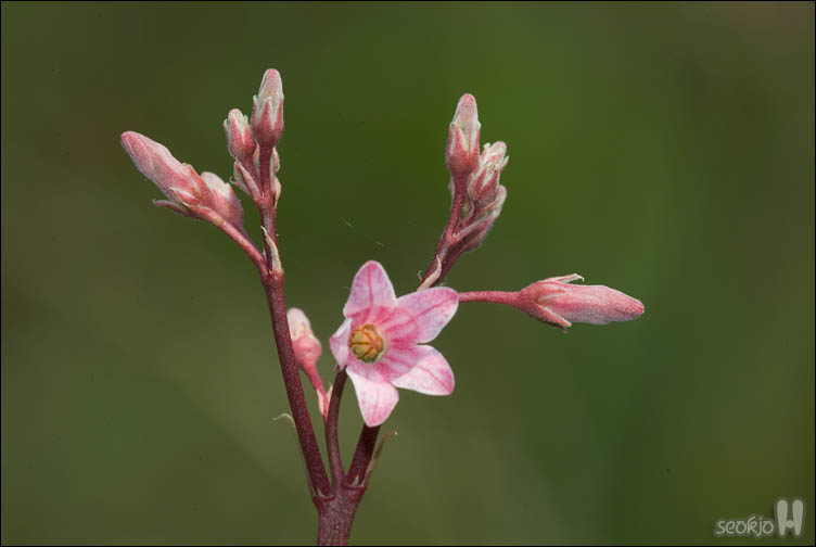 DSCF9356.jpg