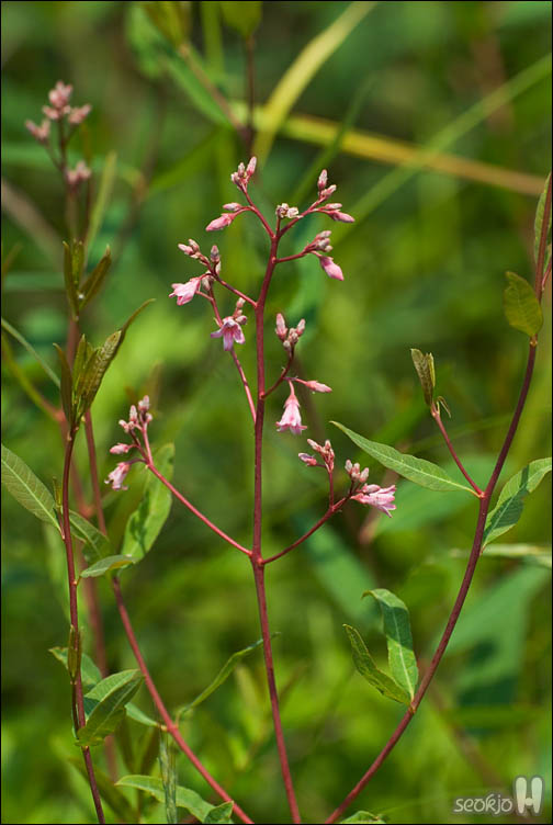 DSCF9359.jpg