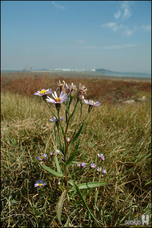 DSCF4339.jpg
