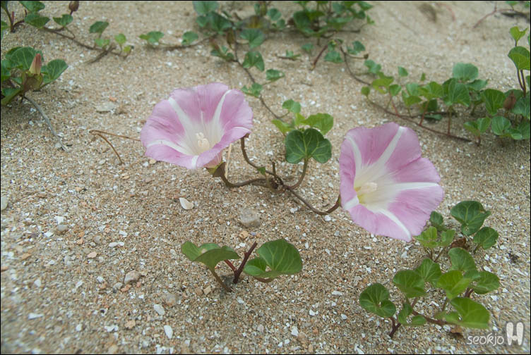 DSCF8883.jpg