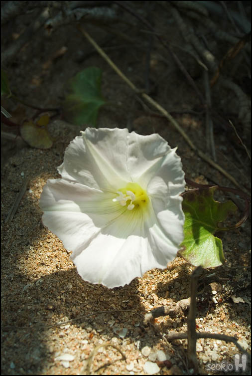 DSCF1614.jpg