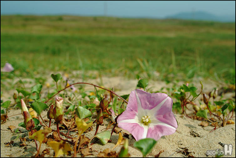 DSCF7155.jpg