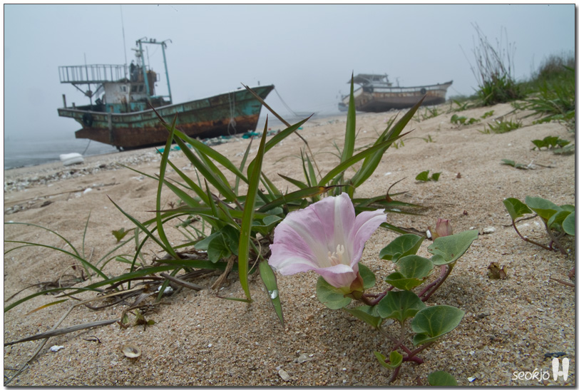 DSCF8898.jpg