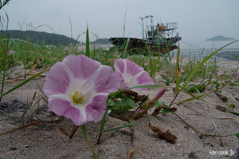 DSC_2006.jpg