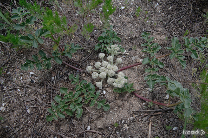 DSC_6872.jpg