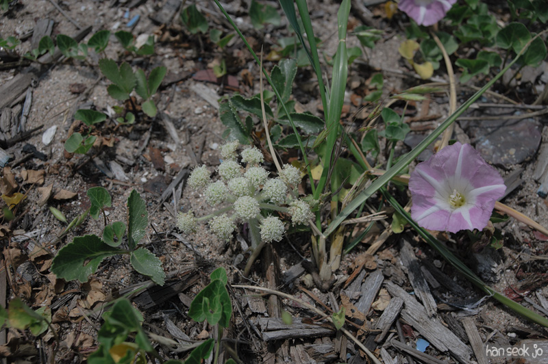 HSJ_3855.jpg
