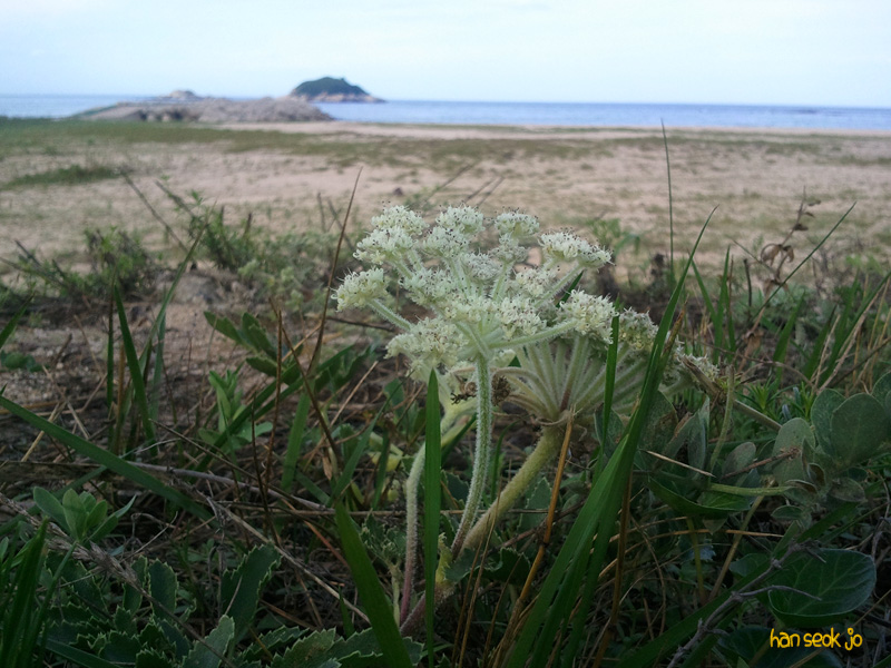 2010-07-18165423.jpg