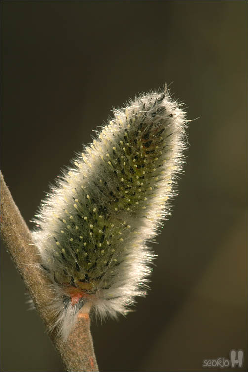 DSCF6143.jpg