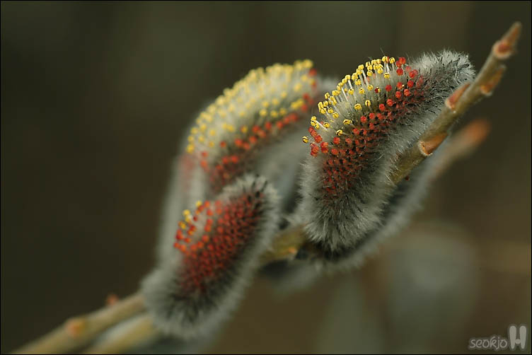DSCF6145.jpg