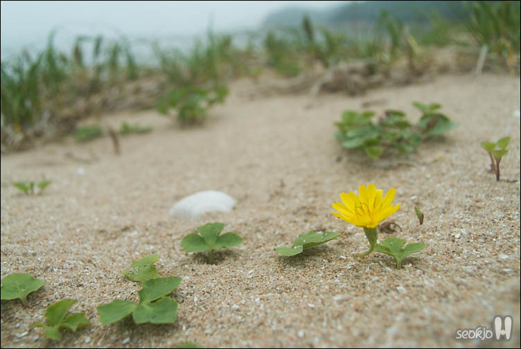 DSCF8908.jpg