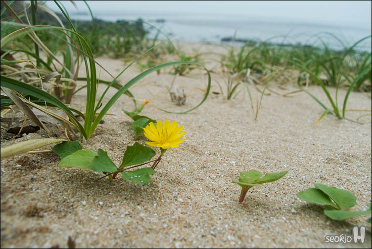 DSCF8910.jpg