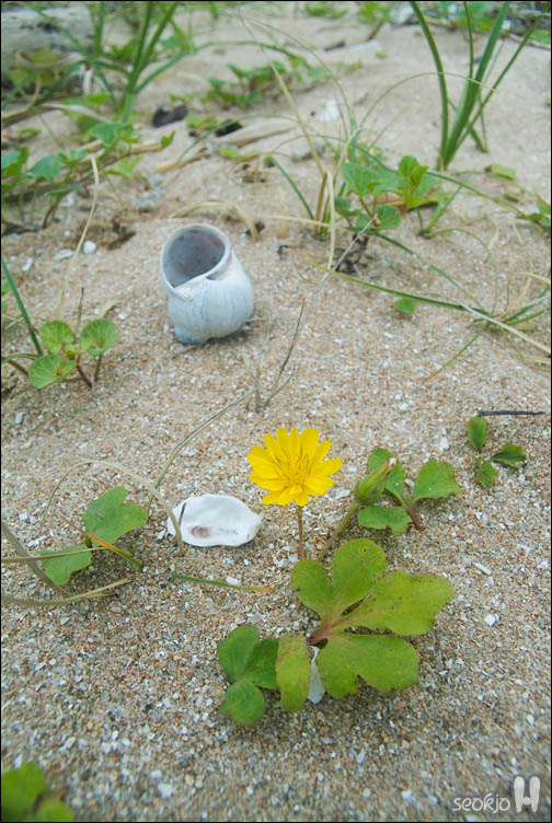 DSCF8912.jpg