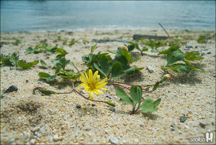 DSCF9148.jpg
