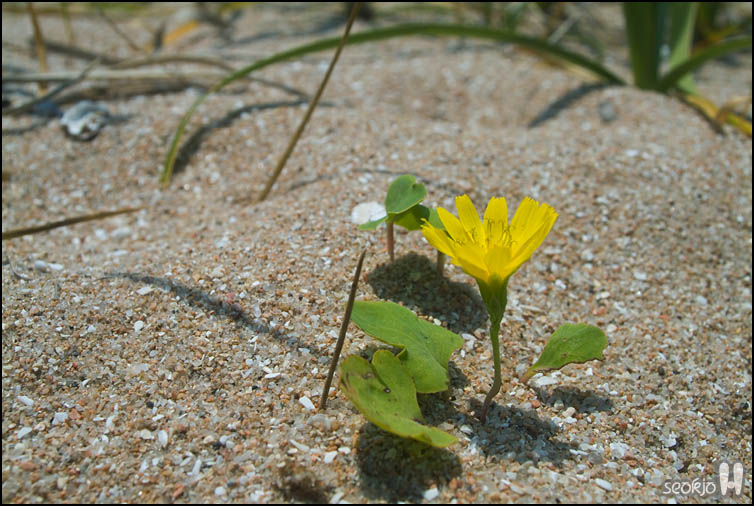 DSCF1604.jpg