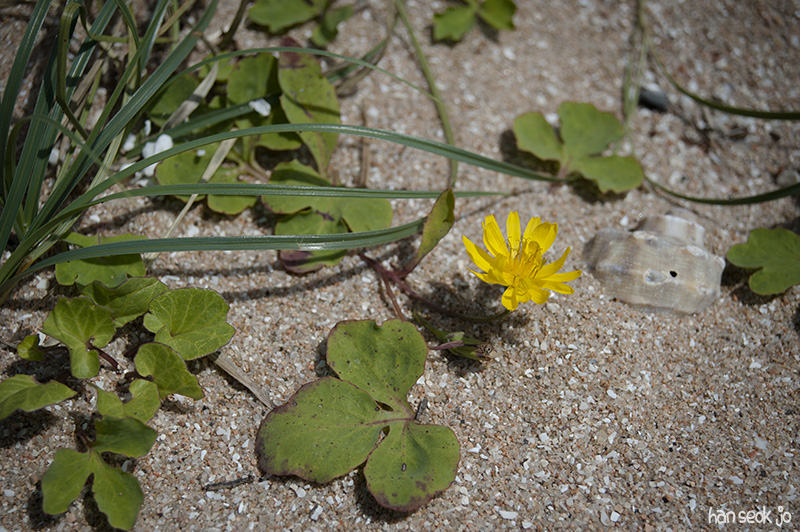 HSJ_5800.jpg