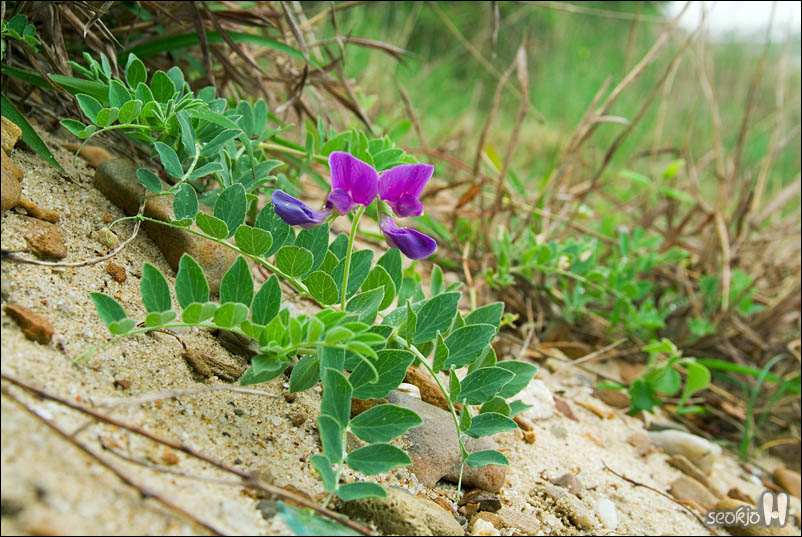 DSCF3892.jpg