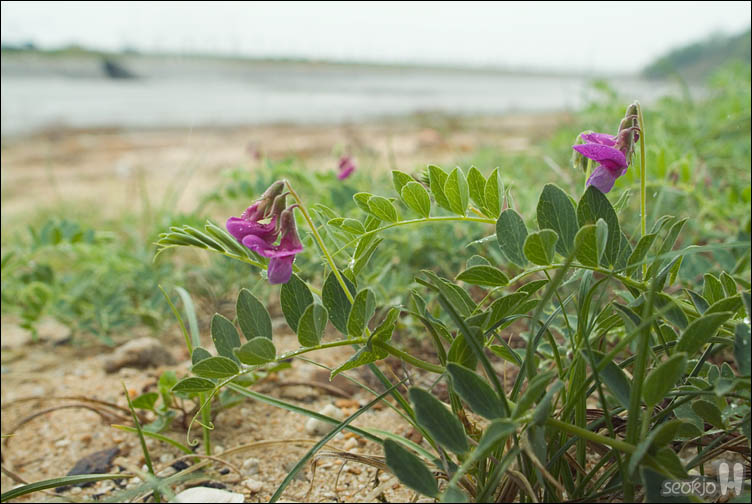 DSCF0635.jpg