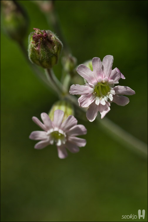 DSCF8196.jpg