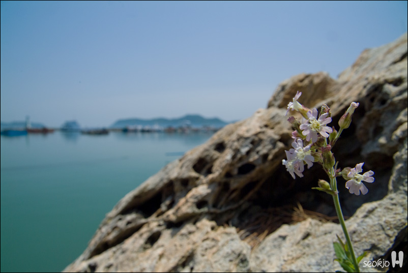 DSCF8240.jpg