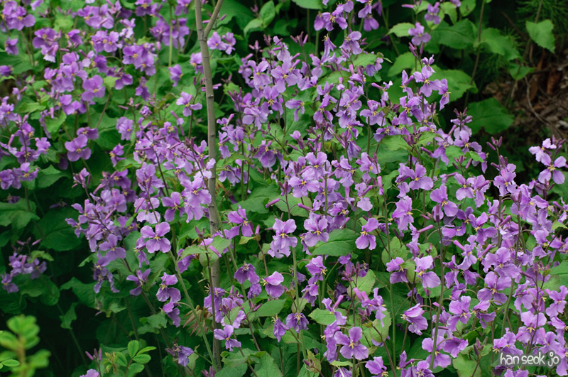 DSC_5813.jpg