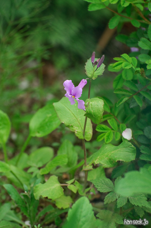 DSC_5816.jpg