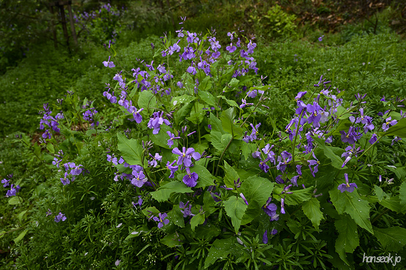DSC_2103.jpg