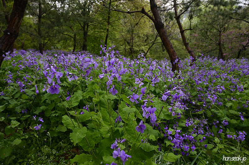 DSC_2107.jpg
