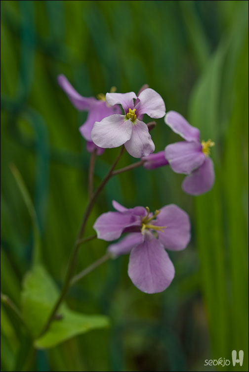 DSCF7960.jpg