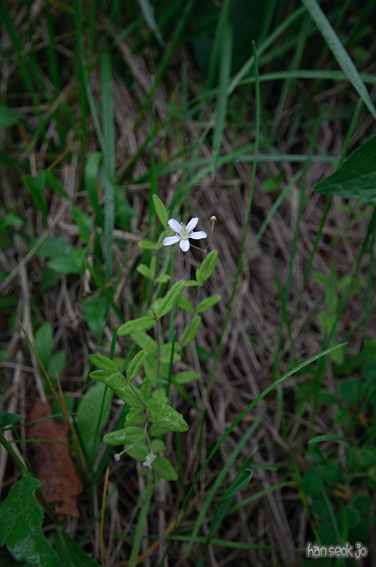 DSC_6432.jpg