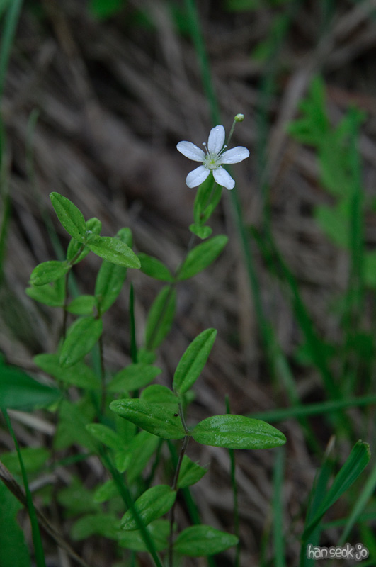 DSC_6444.jpg